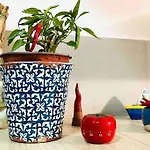 Casa Beluga Hébergement de vacances Pisciotta