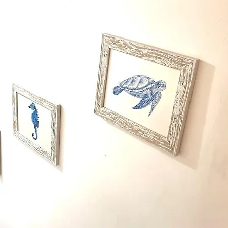 Casa Beluga Pisciotta
