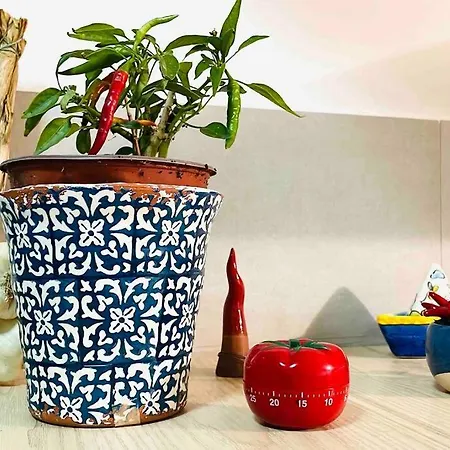 Casa Beluga Holiday home Pisciotta