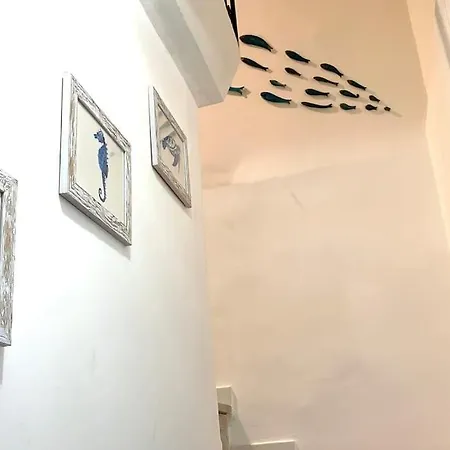 Casa Beluga *